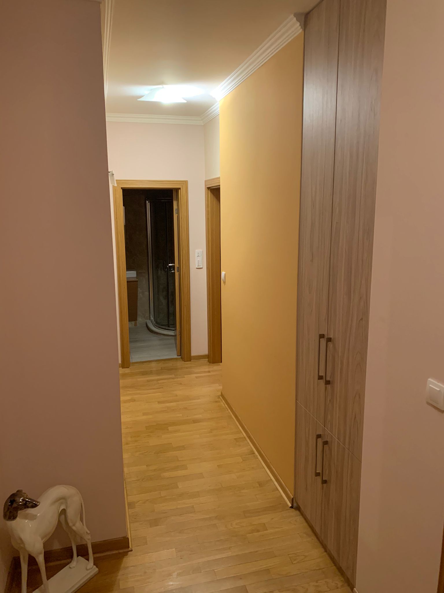 Izdajem potpuno namesten dvosoban stan 55 m2, Zvezdara, Zahumska 