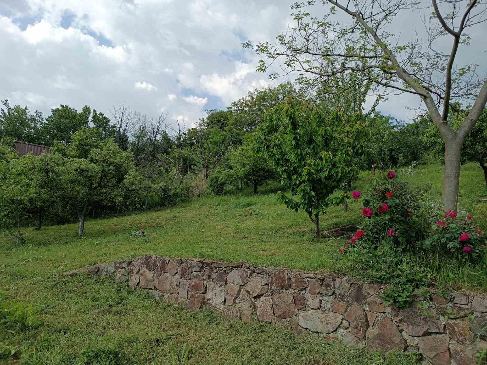 Plac Ledinci