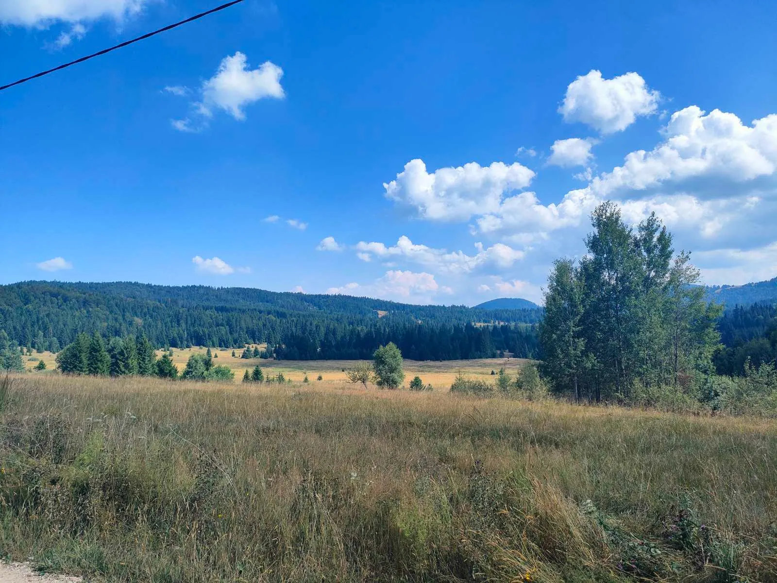Na prodaju plac na Tari u Sekulićima