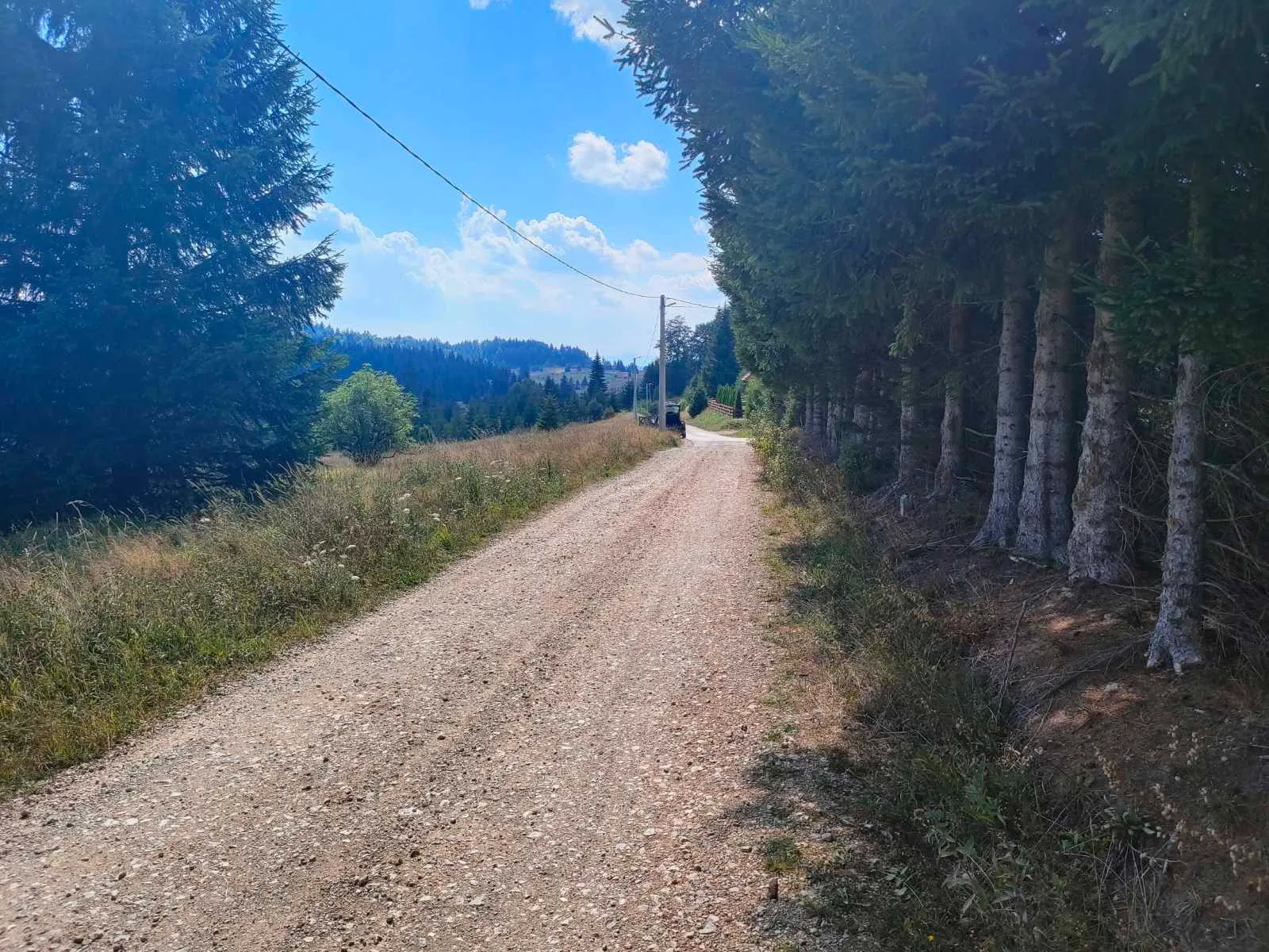Na prodaju plac na Tari u Sekulićima