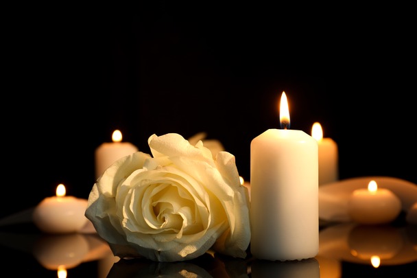 TRADITIONAL HEALER IN Newcastle  +27790293623]] ⓶SANGOMA / SPIRITUAL HEALER in Amanzimtoti, Bergville, Blouberg, Eshowe, Estcourt, Hluhluwe, Howick, Kokstad, Matatiele, Melmotho, Mooi River, 