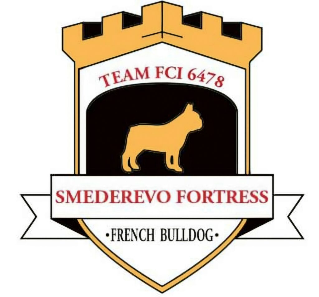 Francuski Buldog PRELEPI štenci