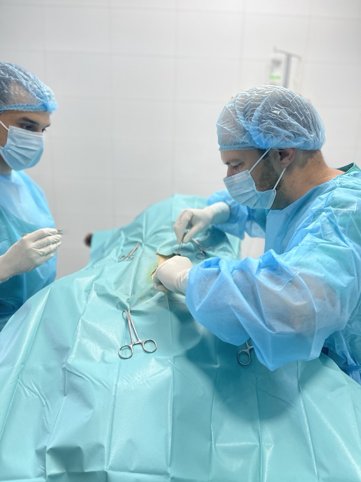 Dezurni veterinar Novi Sad 00-24h