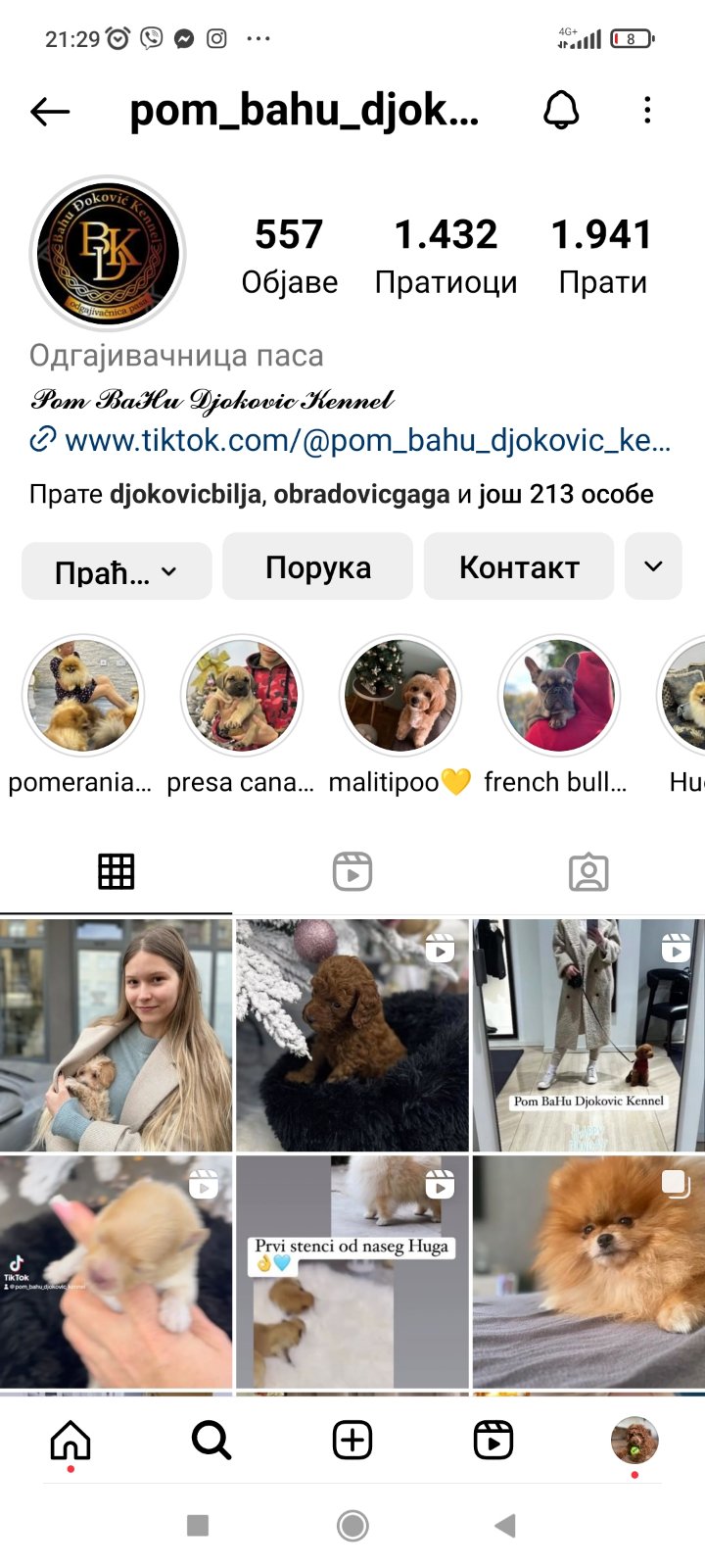 Pomeranac prelepi štenci
